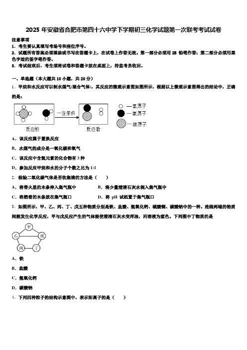 2025年安徽省合肥市第四十六中学下学期初三化学试题第一次联考考试试卷含解析