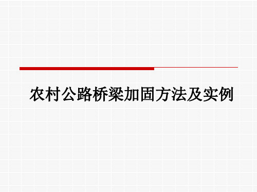 农村公路桥梁加固方法及实例