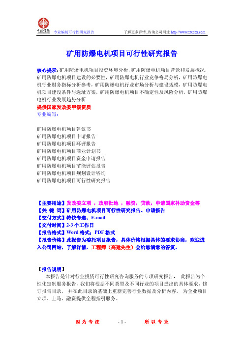 矿用防爆电机项目可行性研究报告