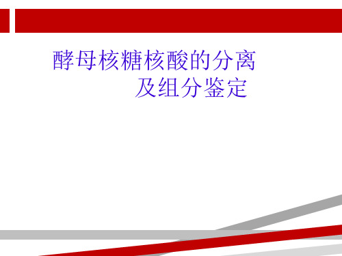 实验四RNA的提取及其组分的鉴定.ppt.ppt