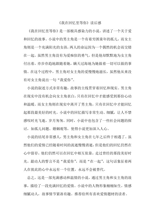 《我在回忆里等你》读后感