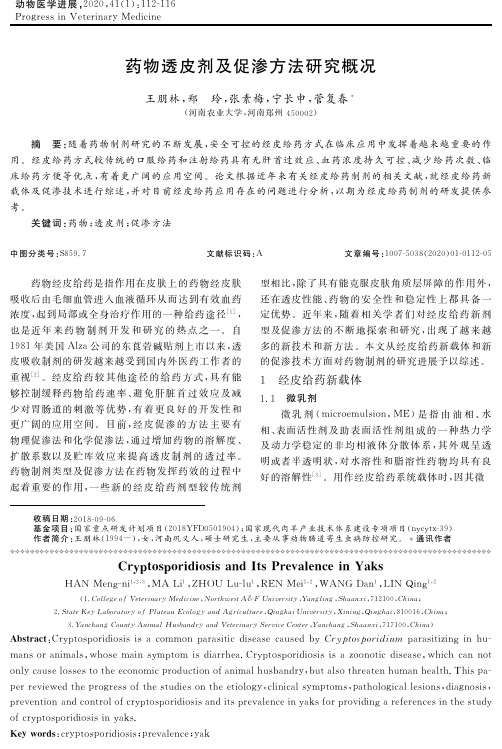 药物透皮剂及促渗方法研究概况