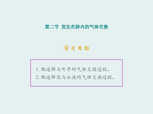 2020人教版七年级生物下册  4.3.2 发生在肺内的气体交换