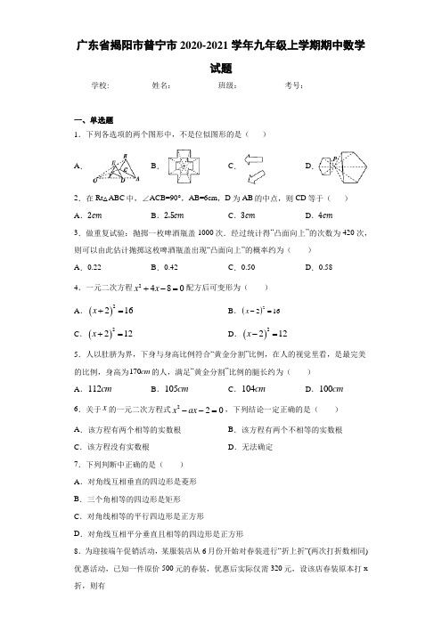 广东省揭阳市普宁市2020-2021学年九年级上学期期中数学试题