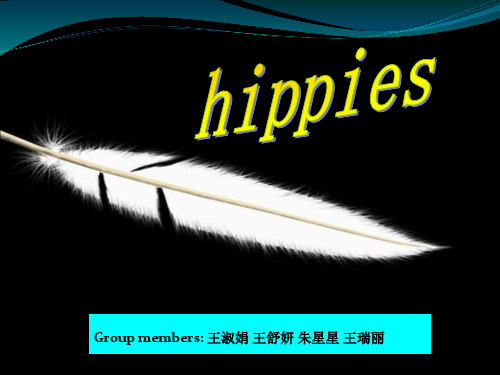 hipps嬉皮士介绍