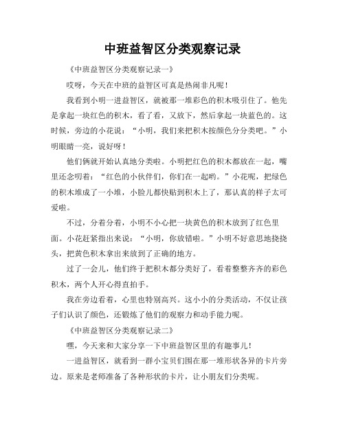 中班益智区分类观察记录