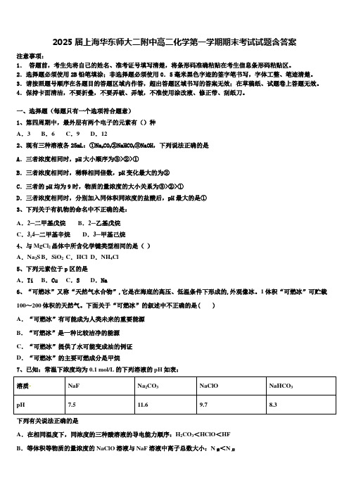 2025届上海华东师大二附中高二化学第一学期期末考试试题含答案