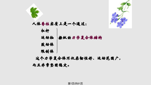 脊柱的生物力学与退行性骨关节病PPT课件