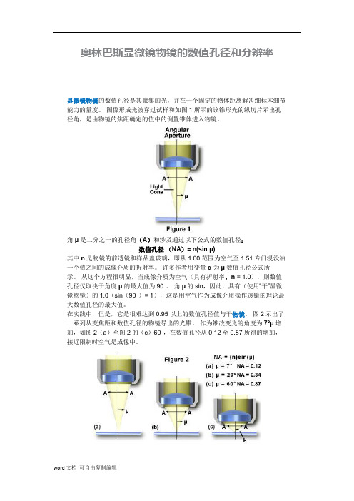 奥林巴斯显微镜物镜的数值孔径和分辨率