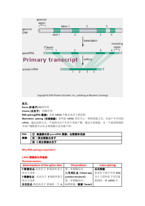 分子生物学教学资料第6章rna剪接