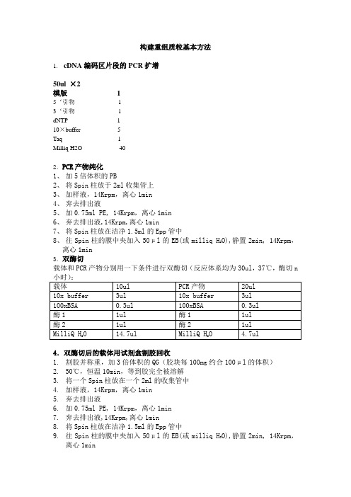 构建重组质粒基本方法