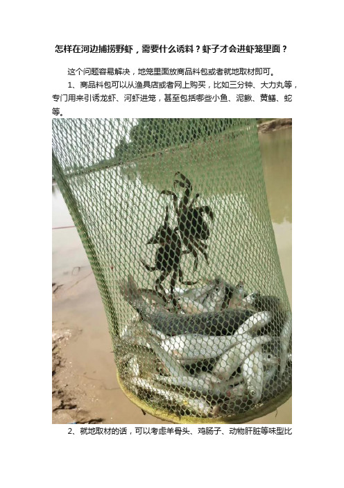 怎样在河边捕捞野虾，需要什么诱料？虾子才会进虾笼里面？