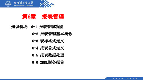 (117)6.1.1：报表管理功能设计