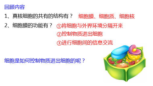 人教版生物必修第四章第一节-物质跨膜运输的实例(很实用、很全面)