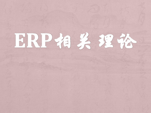 ERP相关理论