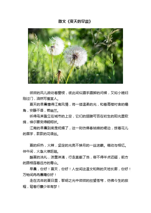 散文《夏天的早晨》