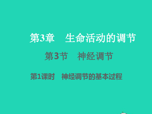 八年级科学上册第3章生命活动的调节3-3神经调节第1课时习题课件新版浙教版