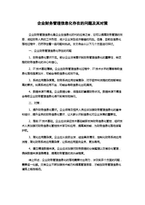 企业财务管理信息化存在的问题及其对策