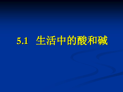 5.1生活中的酸和碱