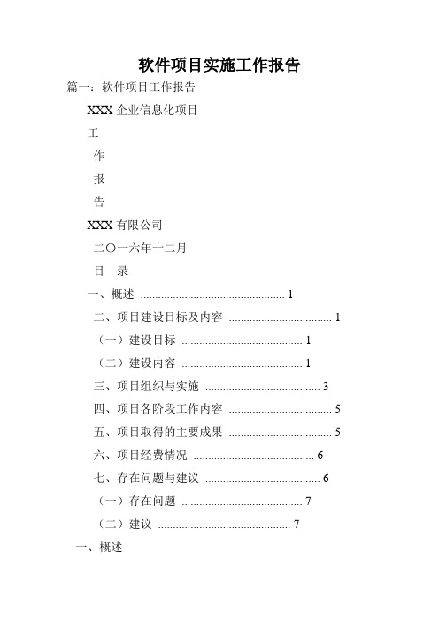 软件项目实施工作报告.doc