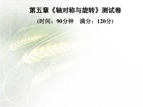 湘教版七年级数学下册第五章《轴对称与旋转》测试卷