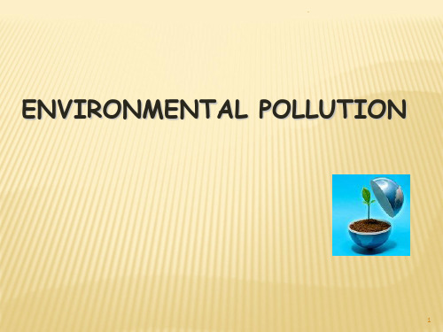 environment-pollution-PPT课件