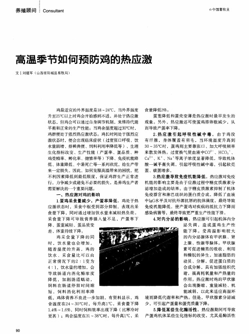 高温季节如何预防鸡的热应激
