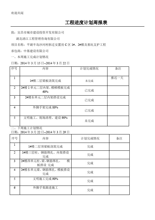 工程进度规划周报表格模板