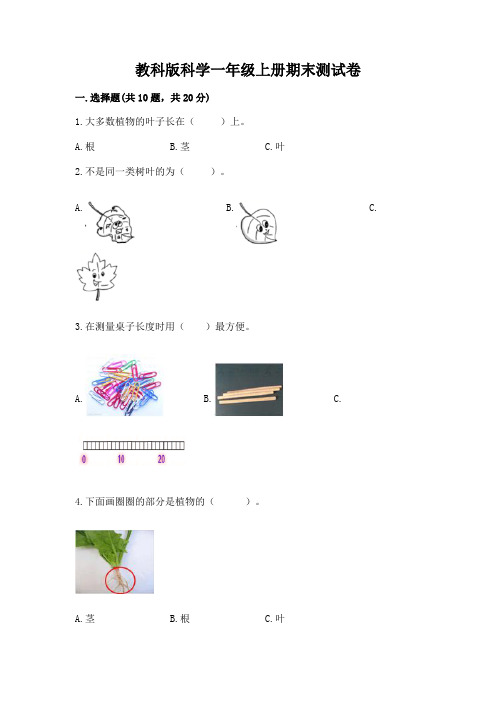 教科版科学一年级上册期末测试卷附答案(完整版)