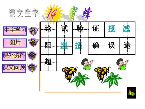 14第一课时《蜜蜂》PPT课件