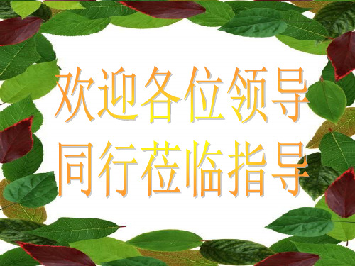 2020最新版高考复习现代文阅读散文阅读之信息的筛选、整合PPT[优质实用版课件]