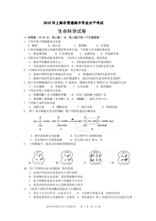 2015年上海市普通高中学业水平考试   生命科学试卷