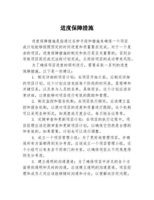 进度保障措施