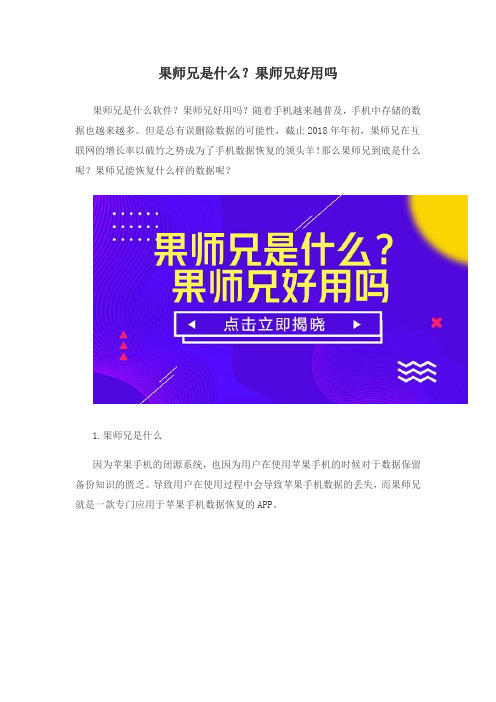 果师兄是什么？果师兄好用吗