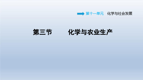 2021春鲁教版九年级化学下册课件第11单元 11.3 化学与农业生产