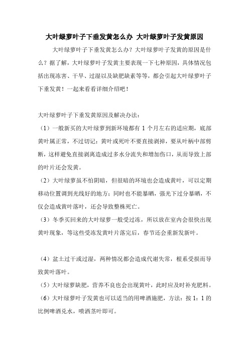 大叶绿萝叶子下垂发黄怎么办 大叶绿萝叶子发黄原因.doc