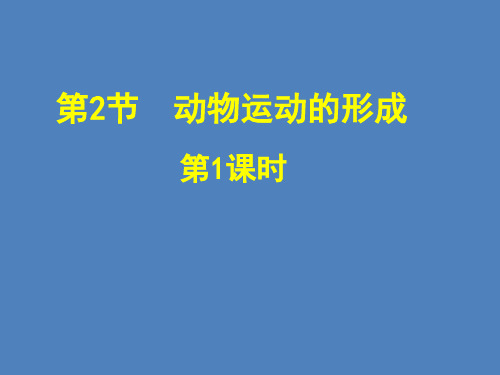 初中生物北师大版八年级上册15.2 动物运动的形成(共28页)