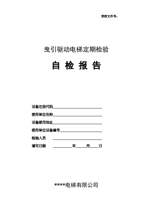 (新检标)电梯年度自行检查报告范本