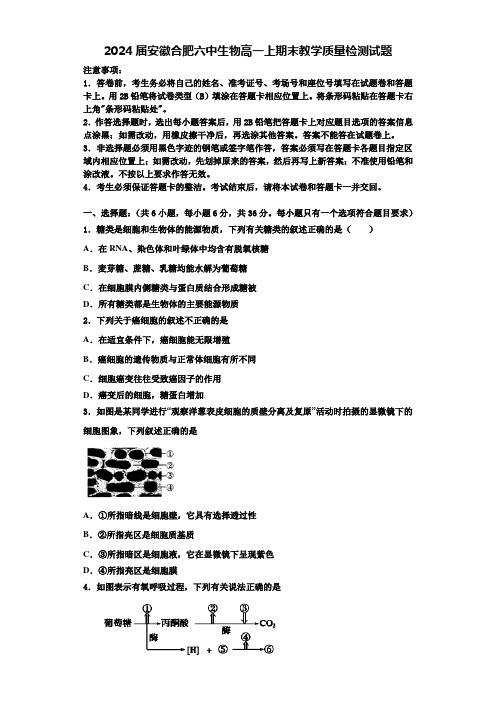 2024届安徽合肥六中生物高一上期末教学质量检测试题含解析