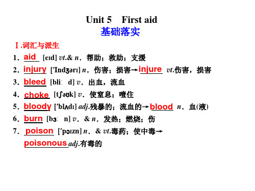 (英语)步步高大一轮复习讲义Book5  Unit5