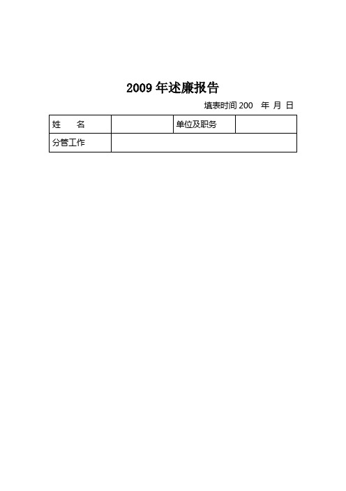 精品参考2009年述廉报告