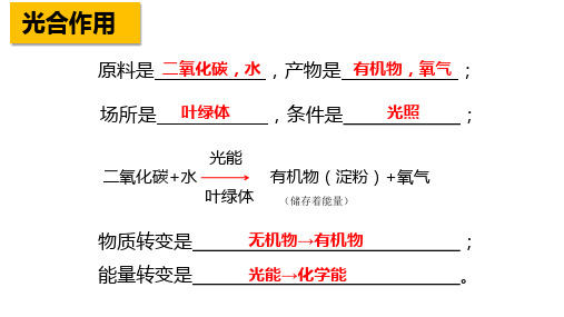 第二节绿色植物的呼吸作用课件人教版生物七年级上册