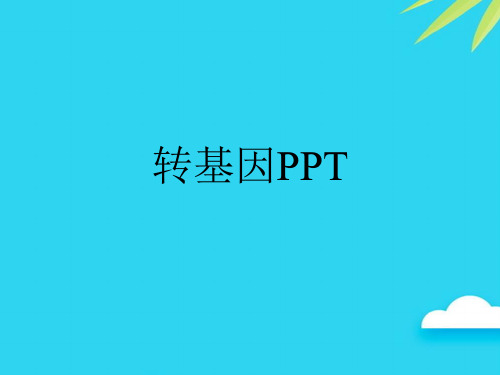 转基因PPT优质PPT资料