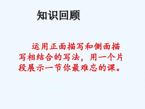 语文人教版九年级下册中考专题复习-----赏析句子