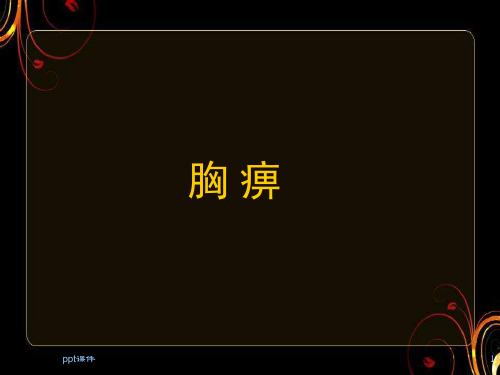 胸痹  ppt课件
