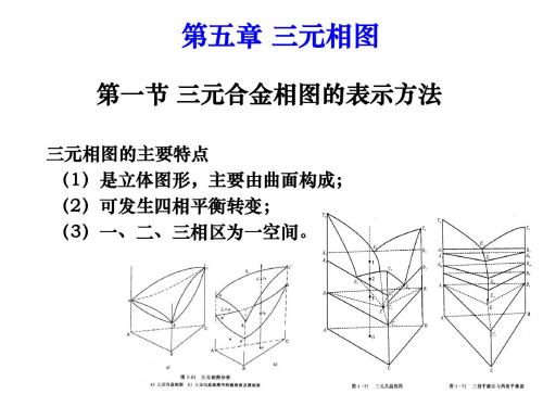 第五章 三元相图