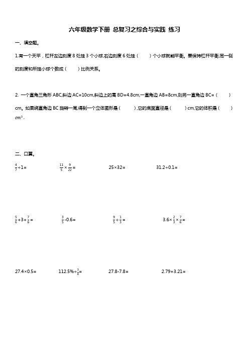 人教版六年级数学下册 综合与实践 练习