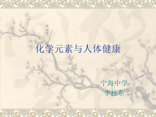 化学元素与人体健康 (2)