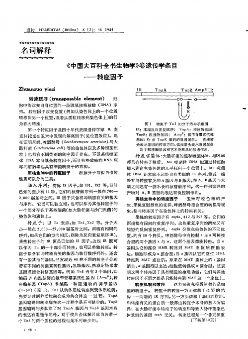 《中国大百科全书生物学》卷遗传学条目―转座因子