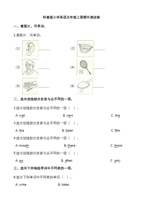 五年级上册英语期中测试卷 科普版(三起)(含解析)